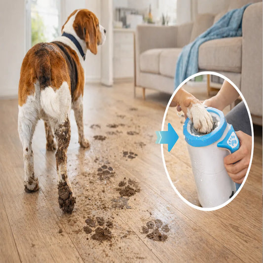 https://cdn.dropmagic.ai/medias/717cfe0d-6bf2-4dc8-9b9e-147e20994a33.webp